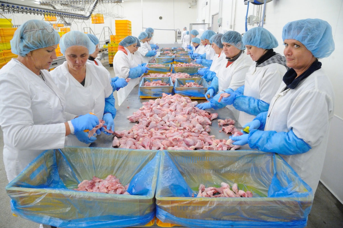 Putnu fabrika "Ķekava"