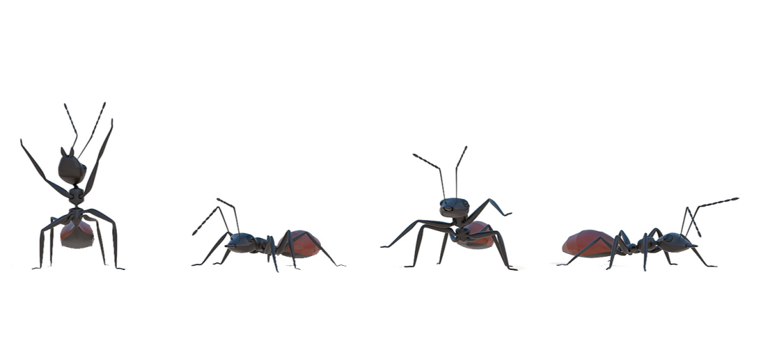 Skudras