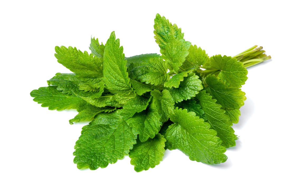 Citronmelisa.