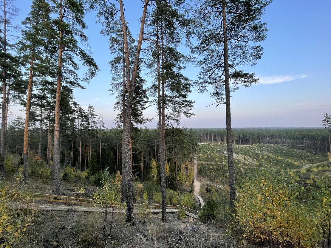 Zvirgzdes kāpa.