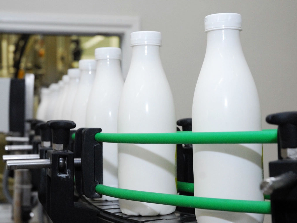 Lai Latvijas piena ražotāji saņemtu vismaz vidējo piena iepirkuma cenu, jāpalielina vietējās pārstrādes piena produktu īpatsvars veikalu plauktos līdz 95–98%, uzskata eksperti.