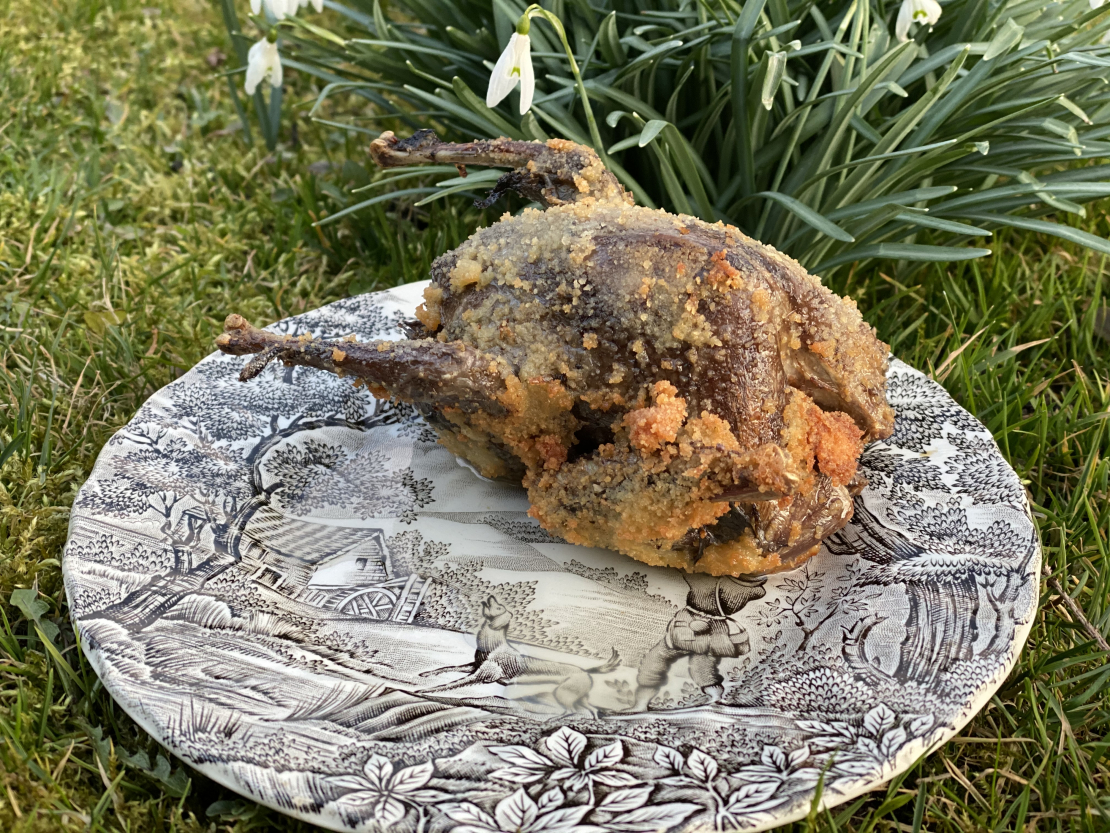 Fritēts balodis.