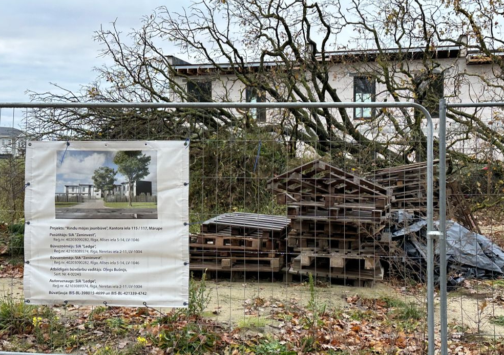 Nozāģēto ozolu nedrīkstot pārvietot, jo tur esot iemājojusi aizsargājama suga – spožās skudras.