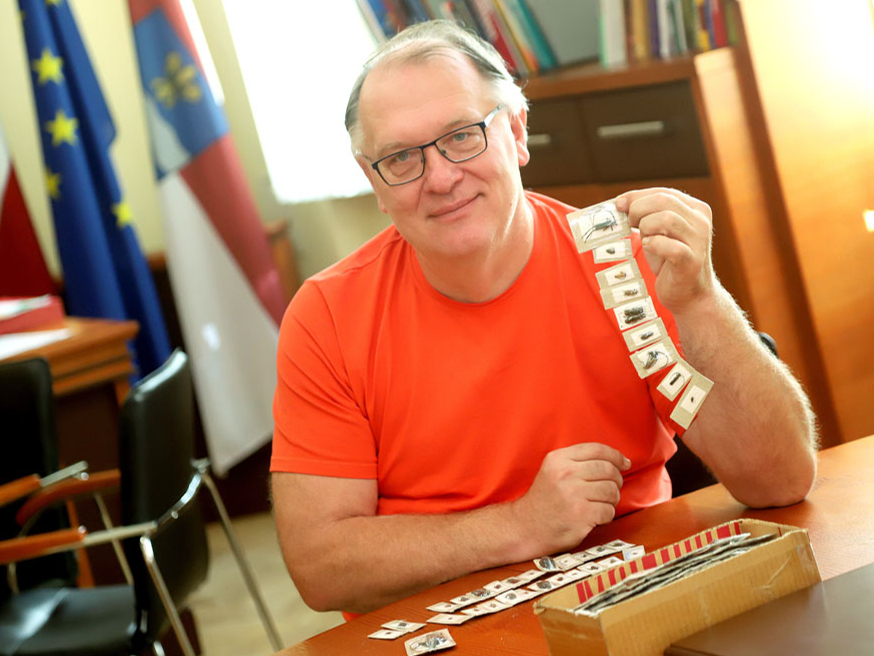 Arvīds Barševskis tikko saņēmis sūtījumu no Filipīnām: kastītē ir vairāki simti kukaiņu, tostarp vēl neatpazītas sugas.