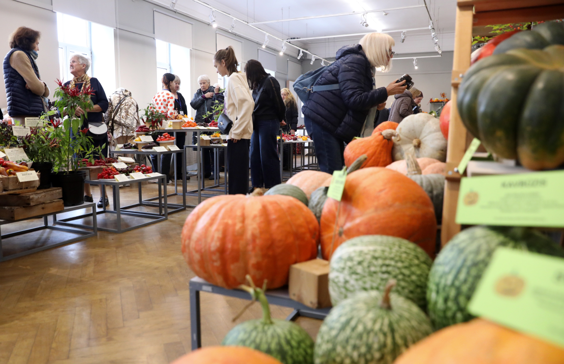 Izstāde "Ķirbjaugi un paprika 2023" Latvijas Dabas muzejā.