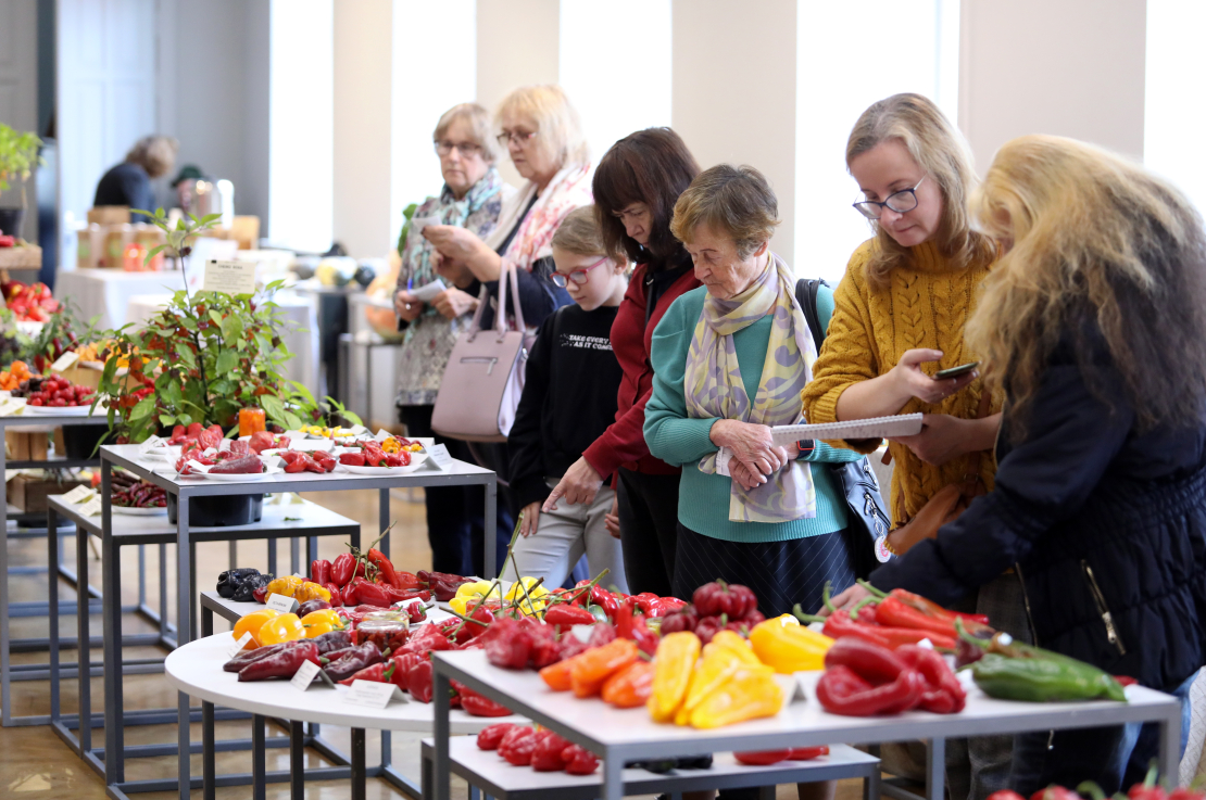 Izstāde "Ķirbjaugi un paprika 2023" Latvijas Dabas muzejā.