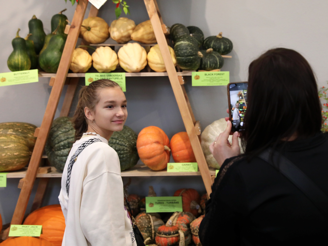 Izstāde "Ķirbjaugi un paprika 2023" Latvijas Dabas muzejā.