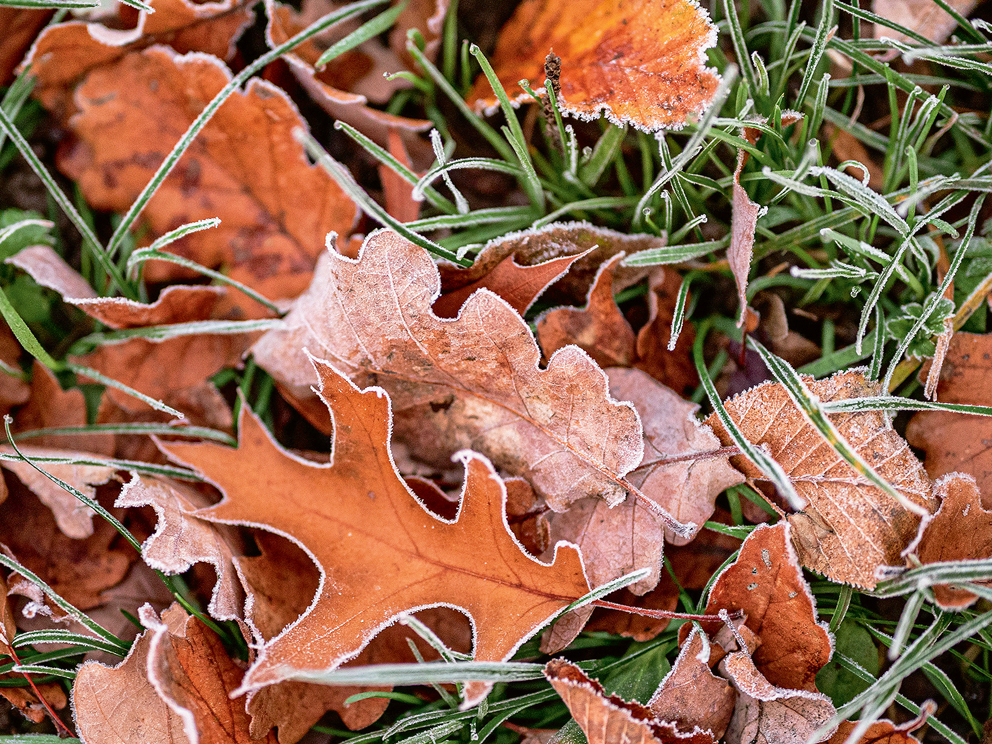 Rudens.