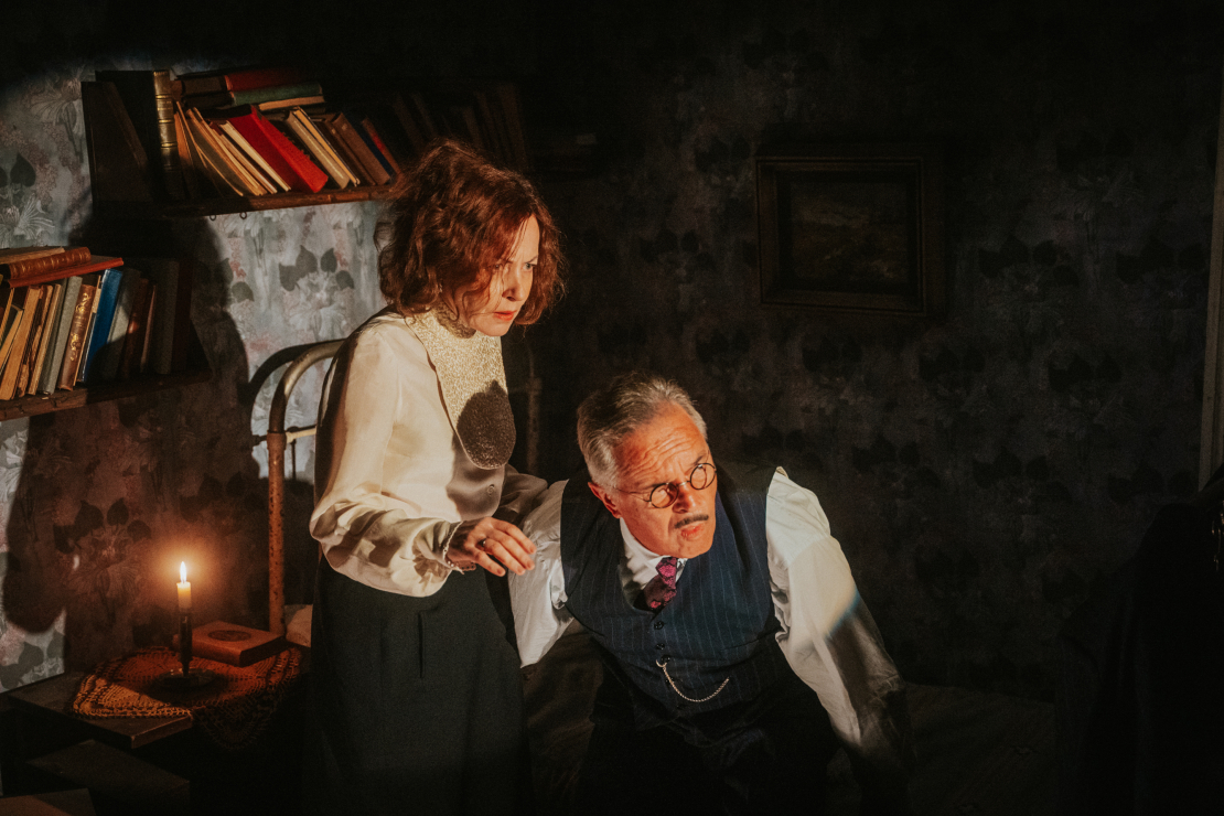 Daudzsēriju filma "Pansija pilī".