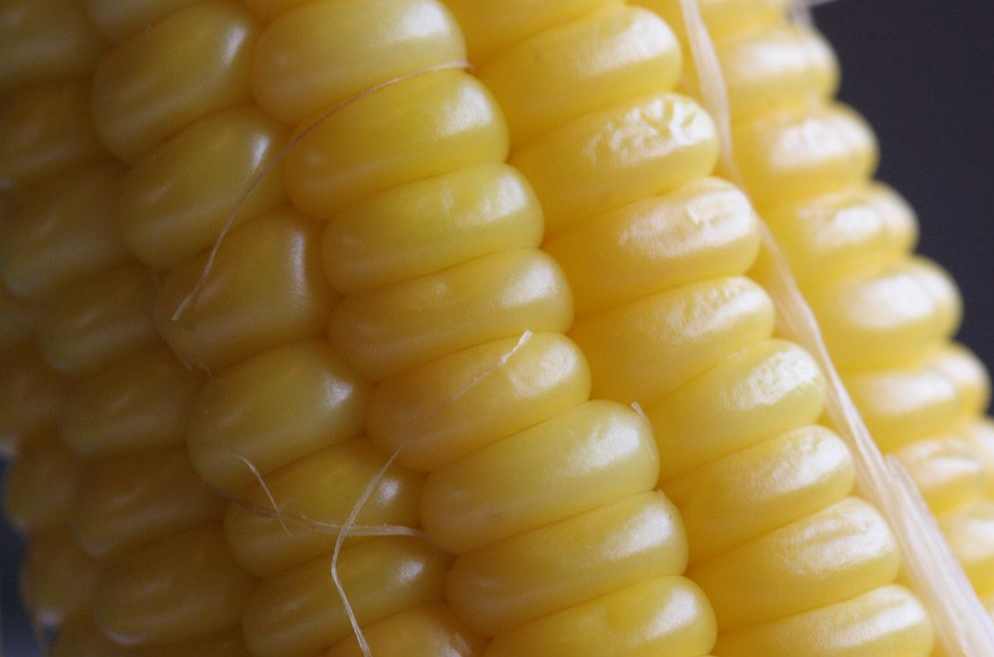 2023. gada desmit mēnešos salīdzinājumā ar attiecīgo periodu 2021. gadā pirms kara Ukrainā dārzeņu imports ir pieaudzis par 126%, graudaugu – par 71%, eļļas sēklu, augu un augļu – par 43%, bet zivju – par 35%.