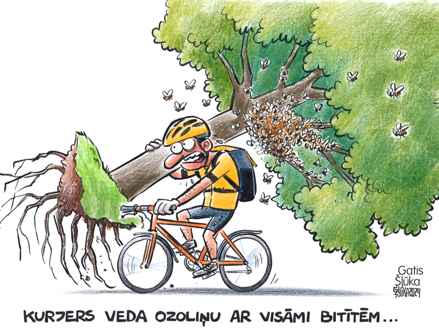 Zīmē Gatis Šļūka. Kurjers veda ozoliņu..