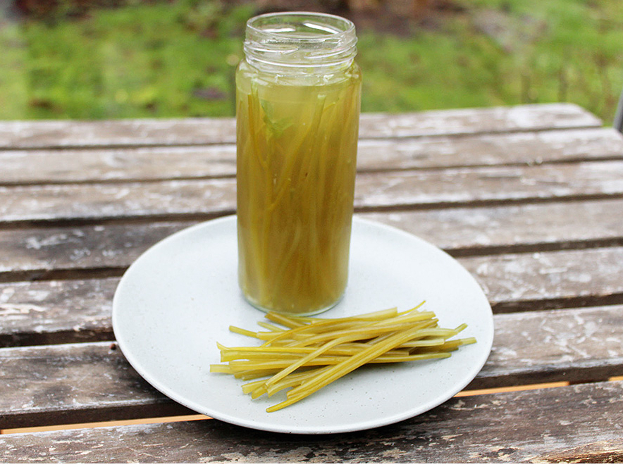 Fermentēti gārsu kātiņi.
