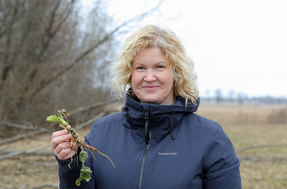 ZS "Zēmeles" saimniece, meža zinātņu maģistre Aiva Švēde: "Intensīvajā lauksaimniecībā bez minerālmēsliem iztikt nevar. Ja vēlamies Latvijā ekstensīvo audzēšanu pēc principa "kas izaugs, izaugs", tad tas vispār nav bizness. Tādā gadījumā lauksaimniecības subsīdijām būtu jābūt četras reizes lielākām."