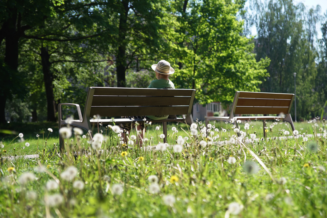 Ozolaines parks Duntes ielā.