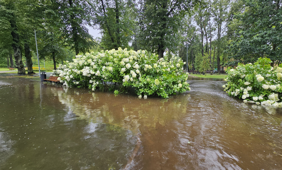 Arkādijas parks. Vētras sekas. Plūdi.