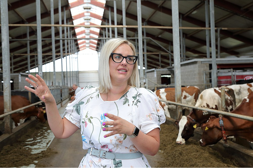 SIA "Tārgalīte" saimniece Ieva Zariņa stāsta, ka saimniecībā gada laikā ietaupījums no efektīvākas elektrības izmantošanas ir 7000 eiro. Ieviesto uzlabojumu vidū ir, piemēram, iespēja ar piena dzesētāja izdalīto siltumu sildīt ūdeni, savukārt sendvičpaneļi jaunās fermas sienās nodrošina stabilu temperatūru, ko regulē pašu uzstādītā meteoroloģiskā stacija.