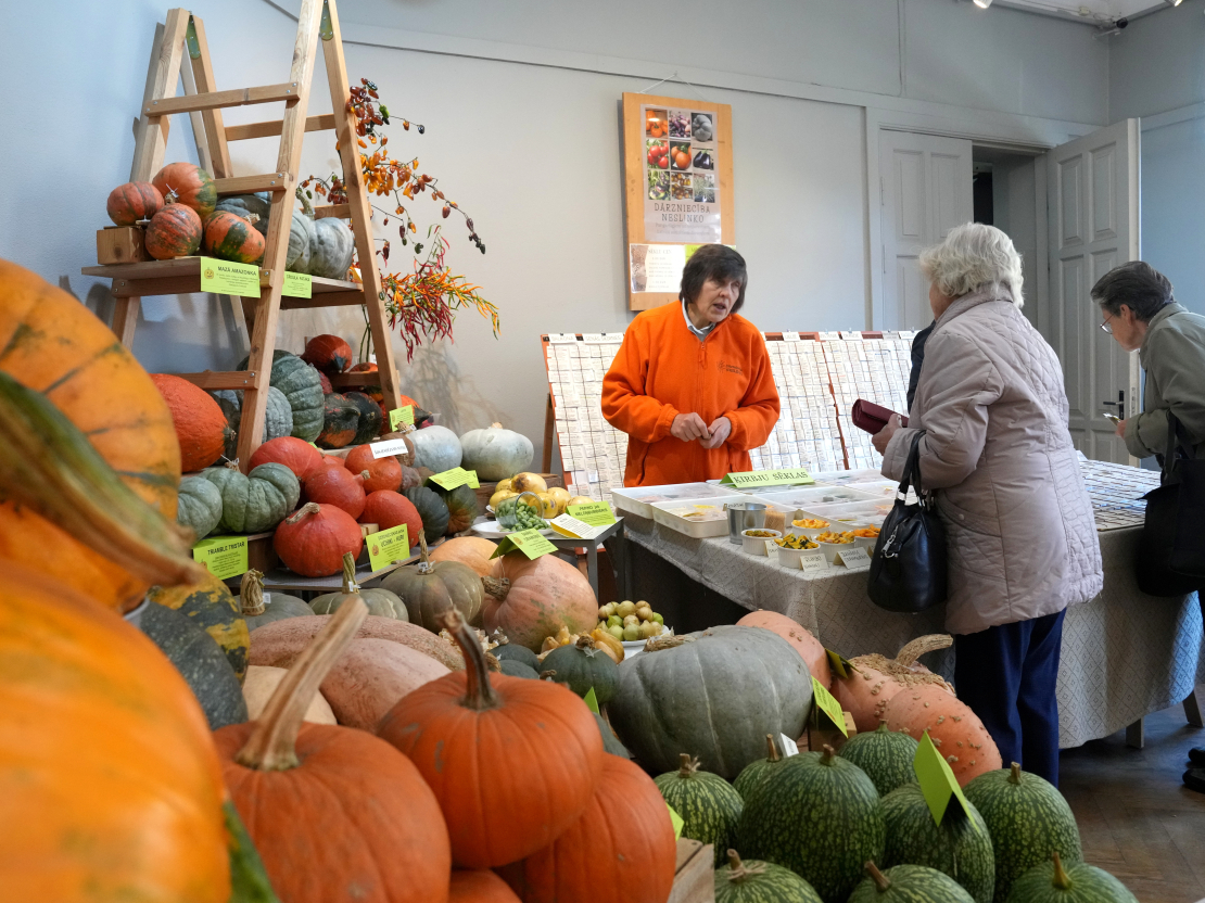 Izstāde "Ķirbjaugi un paprika 2024" Latvijas Dabas muzejā.
