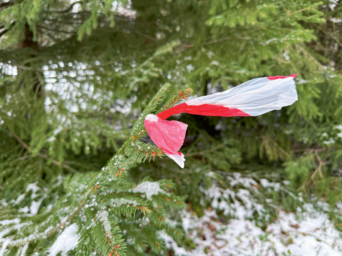 Ierobežojošā lente uz egles zara šāviena vietā.