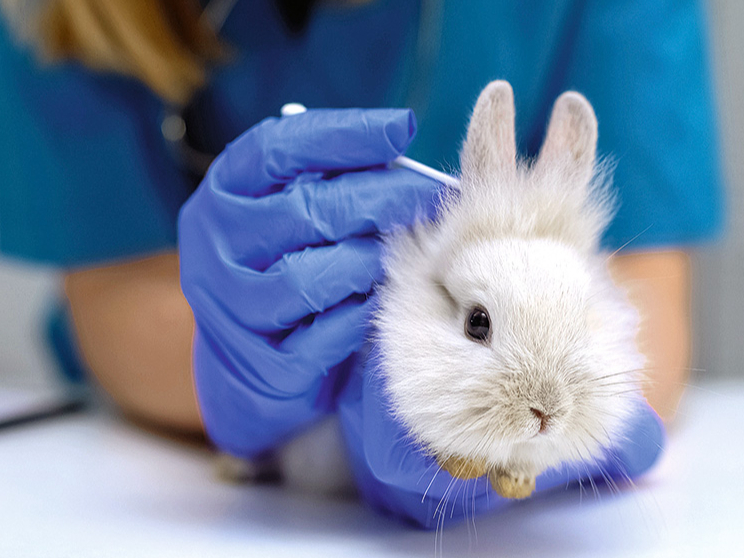 Novērojot slimības pazīmes, nepieciešama vizīte pie veterinārārsta.