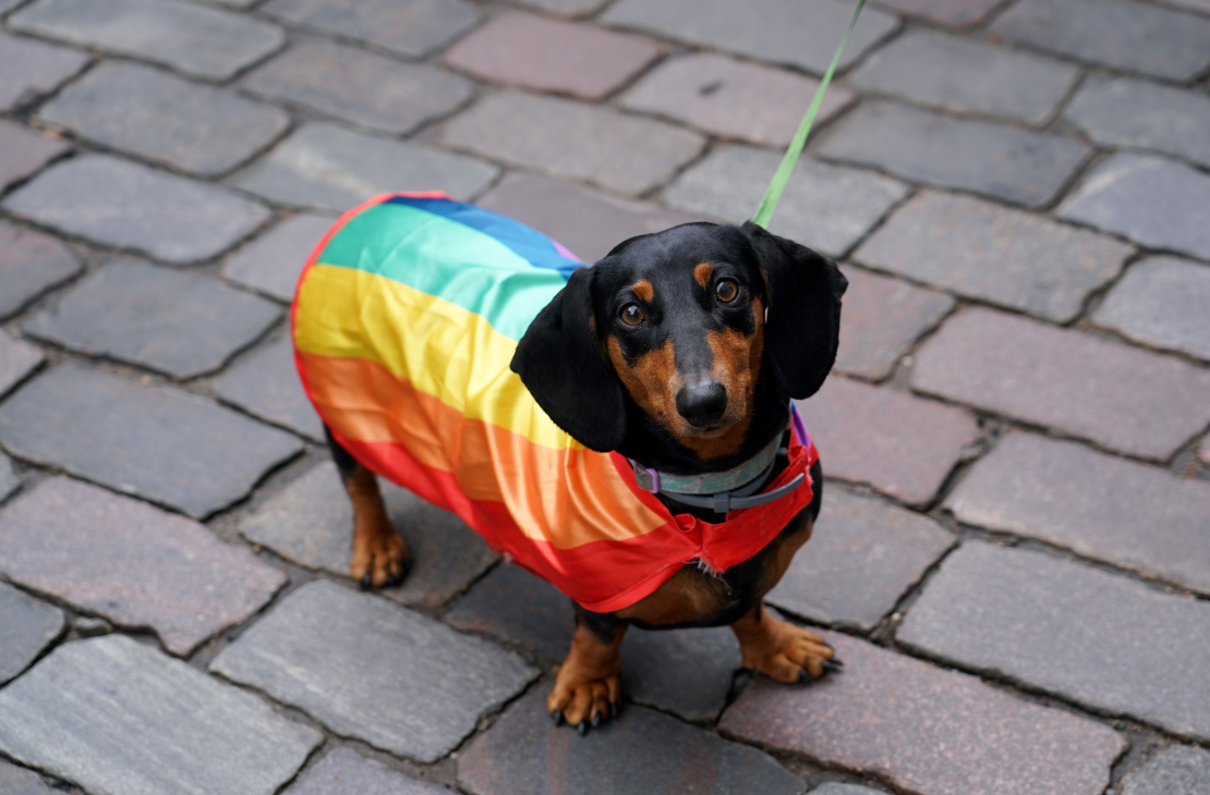 "Riga Pride 2025" gājiens: Par mūsu brīvību!