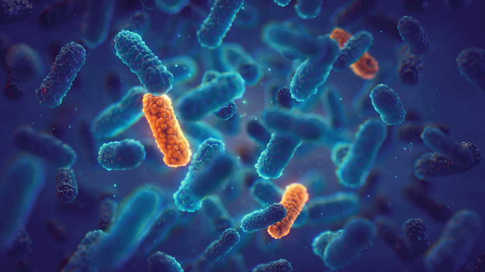 “Modernās” baktērijas jau pamanījušās pielāgoties esošajām antibiotikām.