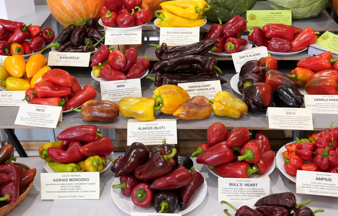 Izstāde "Ķirbjaugi un paprika 2025" Latvijas Nacionālajā dabas muzejā.