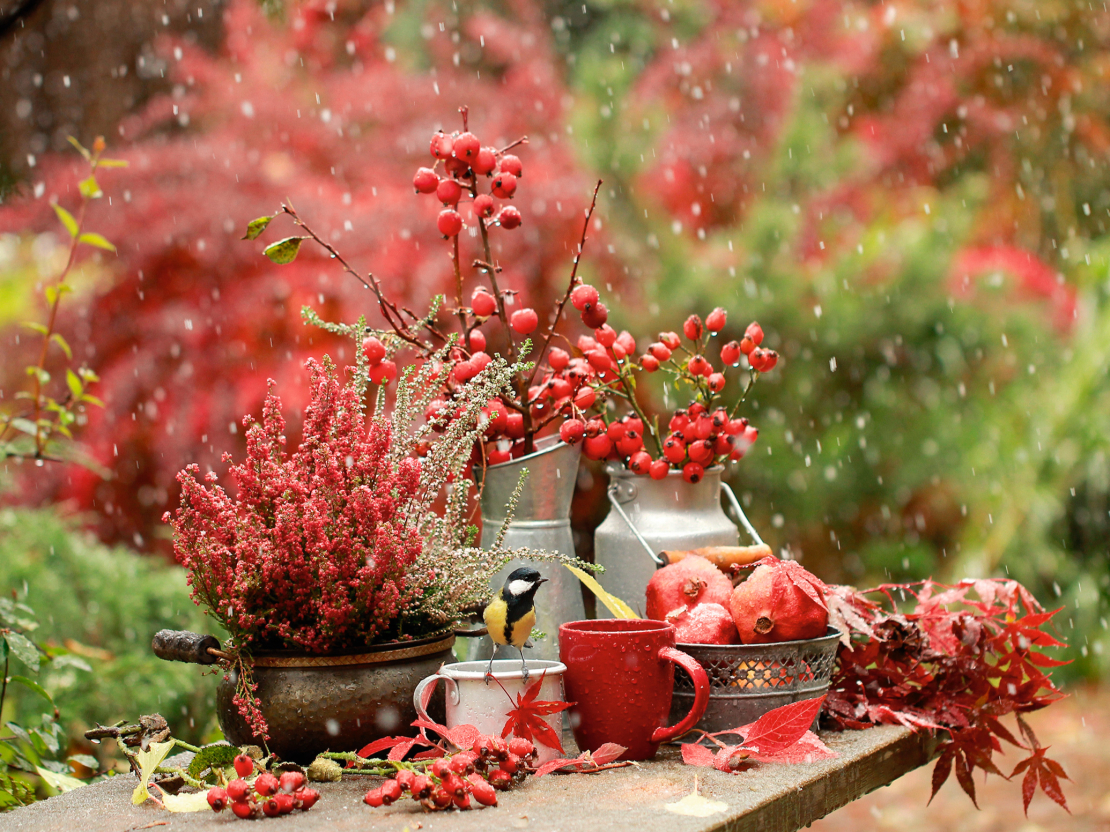 Rudens laiks.
