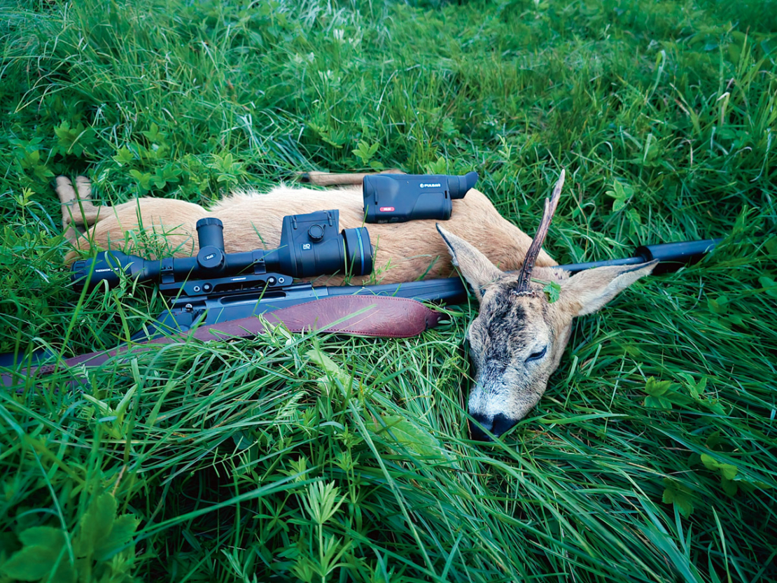Buks nomedīts jūlija otrajā pusē Pulsar Oryx (Ieskaties.lv) testa medībās.
