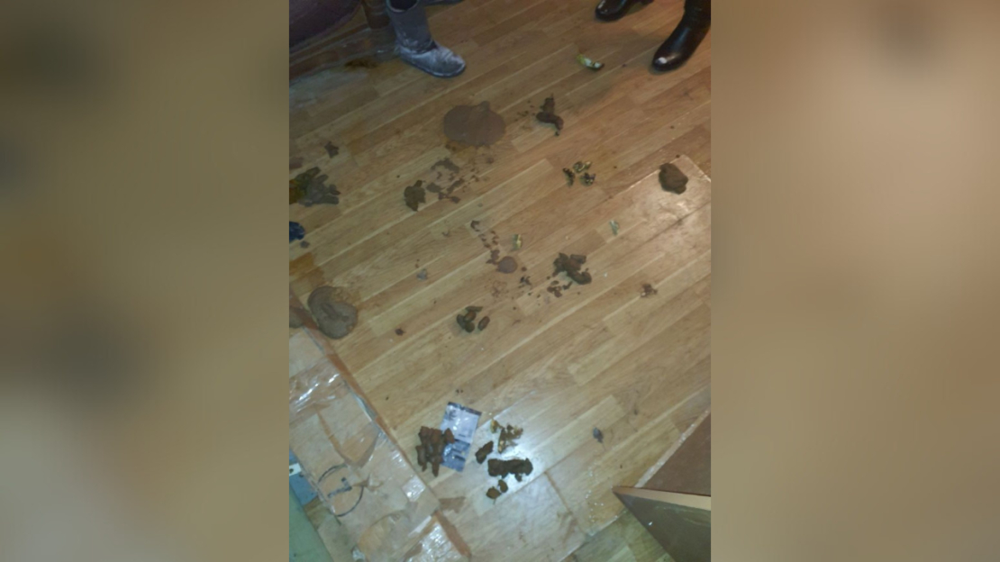 Pārtikas un veterinārais dienests no kādas saimniecības izņēmis 15 suņus un trīs kaķus.