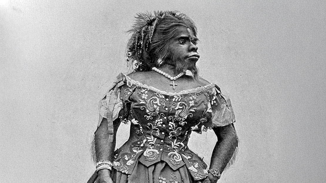  Džūlija Pastrana.