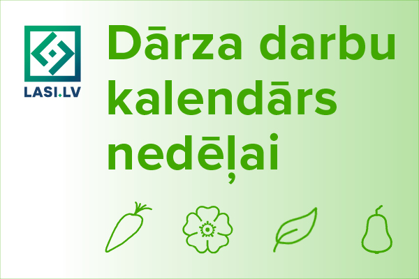 dd kanebars