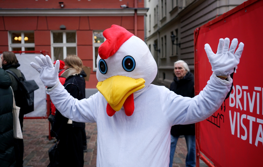 Pie Saeimas dzīvnieku aizsardzības organizācija "Dzīvnieku brīvība" rīko piketu, aicinot deputātus atkārtoti iesniegt un virzīt likumprojektu par aizliegumu turēt dējējvistas industriālajos sprostos Latvijā.