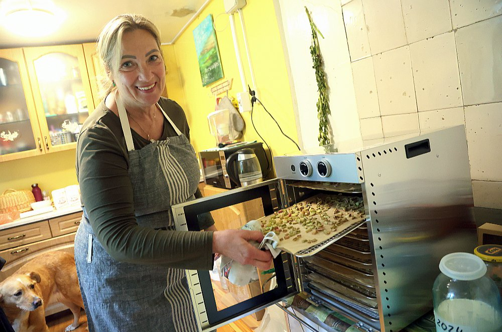 Par piešķirto grantu Vineta ir iegādājusies augļu un dārzeņu žāvēšanas iekārtu "Royal Catering", kurā tagad žāvē rabarberus.
