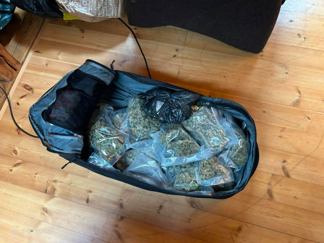 Valsts policijas izņemtā marihuāna.
