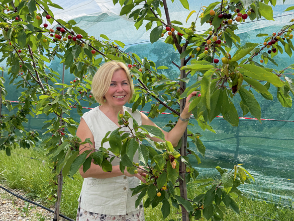 Daina Feldmane pie šķirnes 'Ruisa' kociņa.