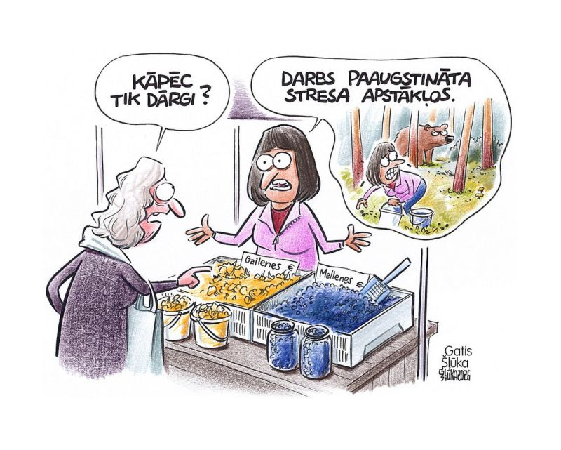 Zīmē Gatis Šļūka. Darbs paaugstināta stresa apstākļos