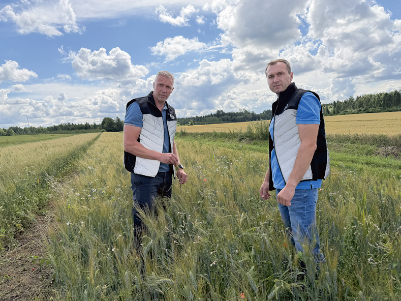 AS "Dobeles dzirnavnieks" agronomi Ģirts Šteinbergs (no kreisās) un Artis Vilbrants jaunās cieto kviešu līnijas laukā vērtē augu veselību.