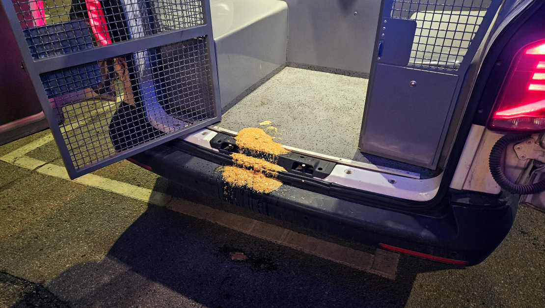 Iereibis ārvalstnieks ar auto lielā ātrumā taranējis DUS.