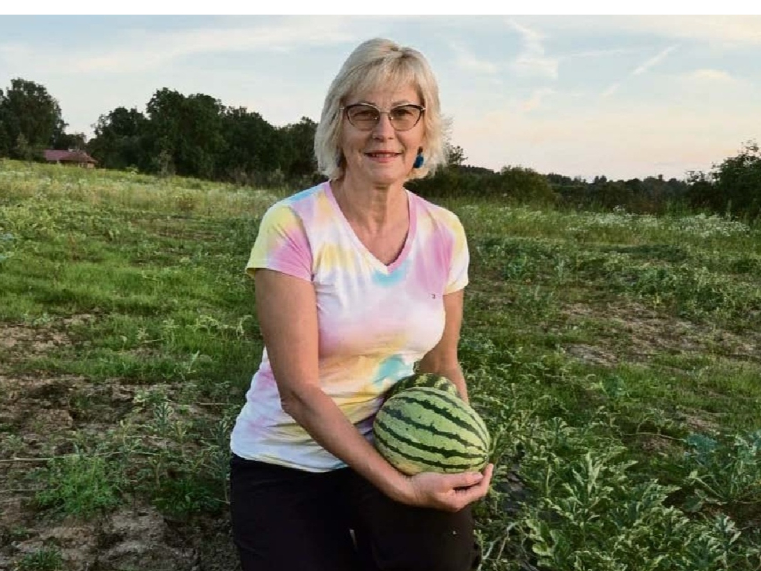 "Mums ir bijuši 7–8 kilogramus smagi eksemplāri, taču šobrīd uz lauka nevienu tik lielu atrast nevar. Arbūzi ir 2–3 kilogramus smagi, ne vairāk," secina Bauskas novada Viesturu pagasta piemājas saimniecības "Padegas" saimniece Sandra Icaka.