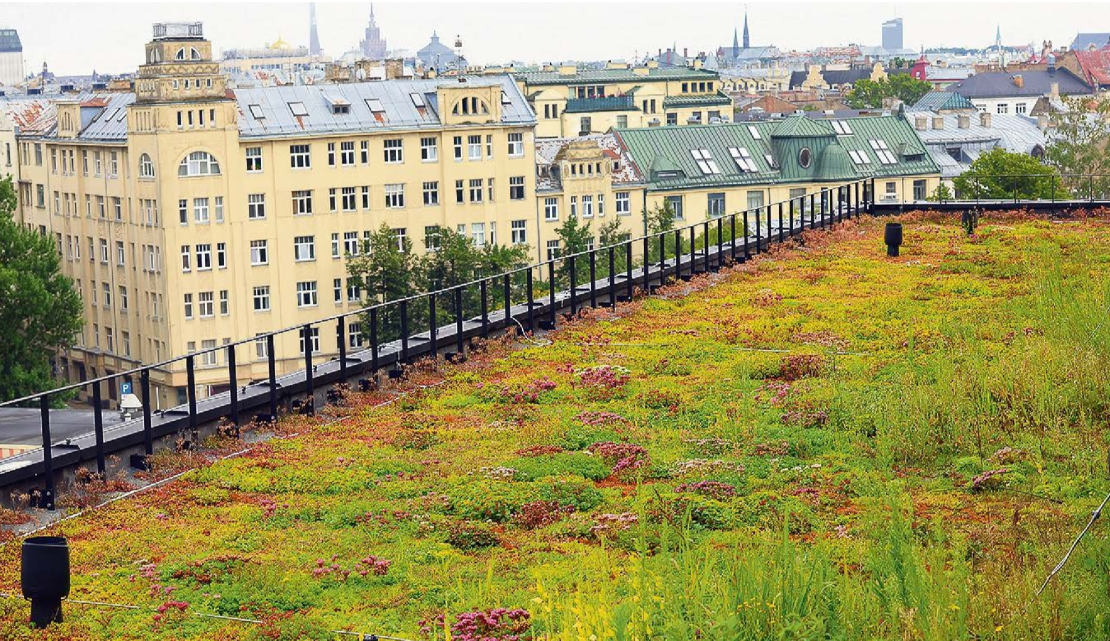 Pilsētas vidē aizvien populārāki kļūst dzīvi, zaļojoši, ziedoši jumti. Uzņēmuma "Green Urban" veidotais zāliens uz "New Hanza" biroja ēkas Rīgā ne tikai iekrāso urbāno ainavu, bet arī sargā ēku no pārkaršanas vasarā vai izsalšanas ziemā, ceļot nama energoefektivitāti. Lai gan segums ir dabisks, jāņem vērā, ka šāds risinājums paģēr lielāku būvkonstrukciju nestspēju, kas savukārt var nozīmēt arī, piemēram, lielāku betona patēriņu.