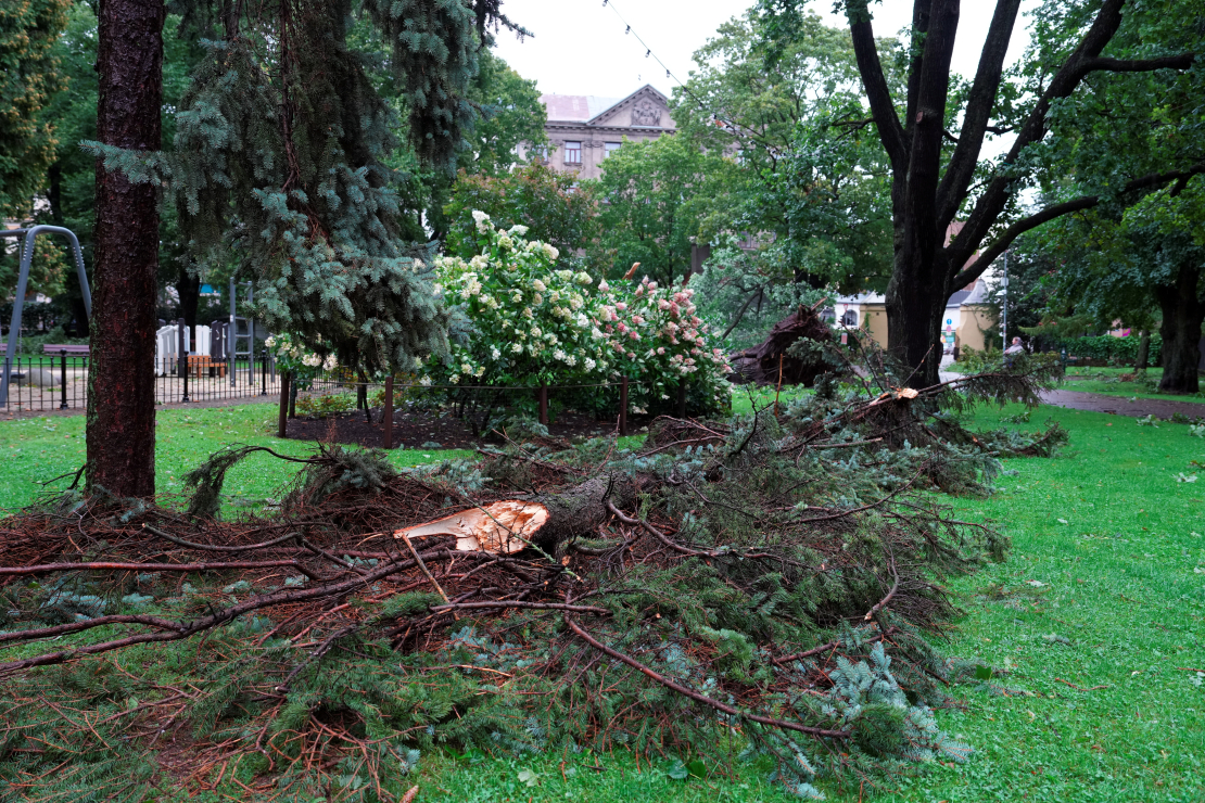 22. augusta vētras postījumi Rīgā.