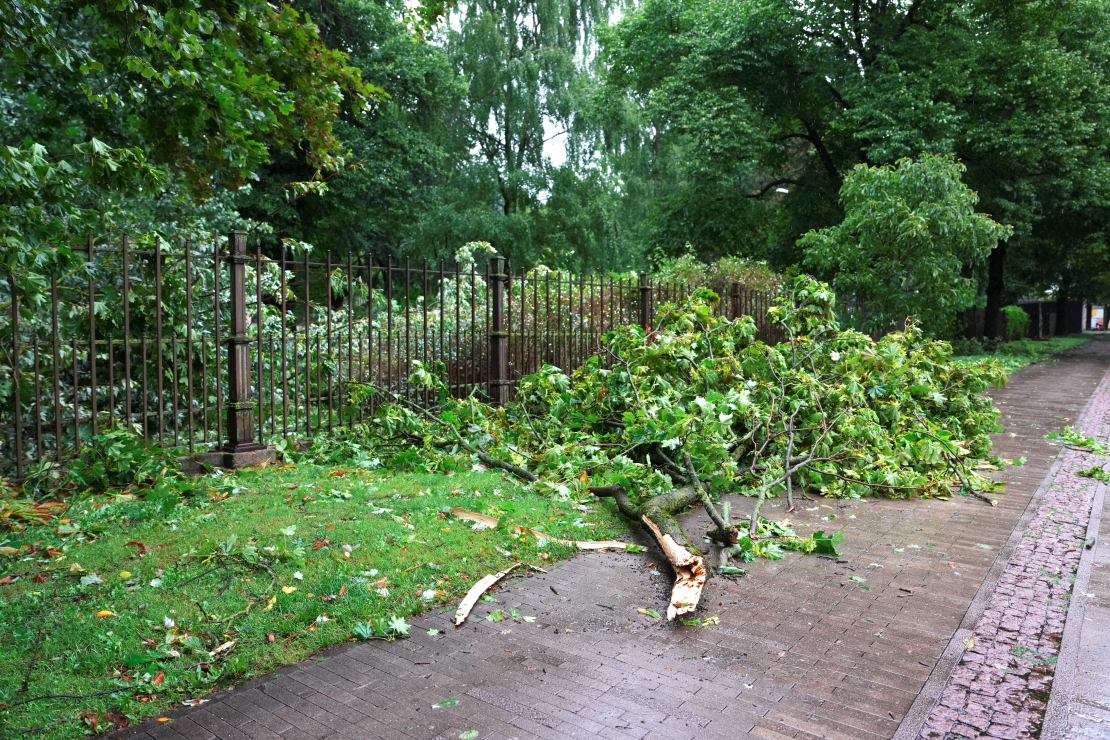 22. augusta vētras postījumi Rīgā.