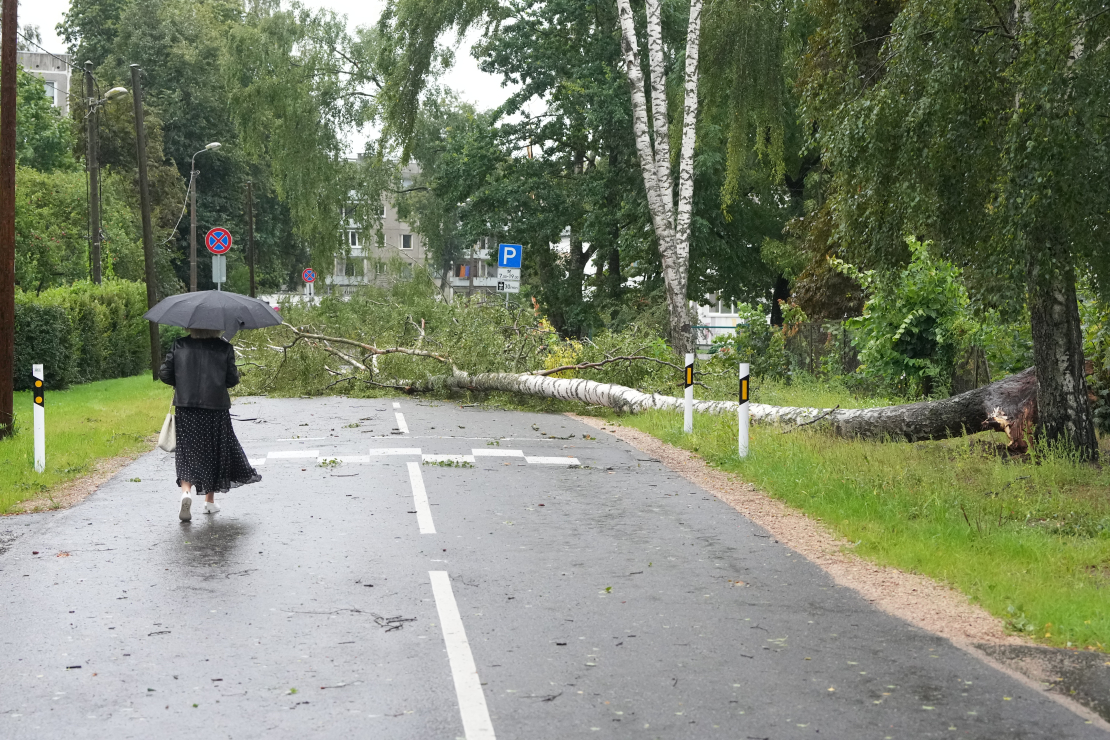 Vētras postījumi Rīgā - Imantā.