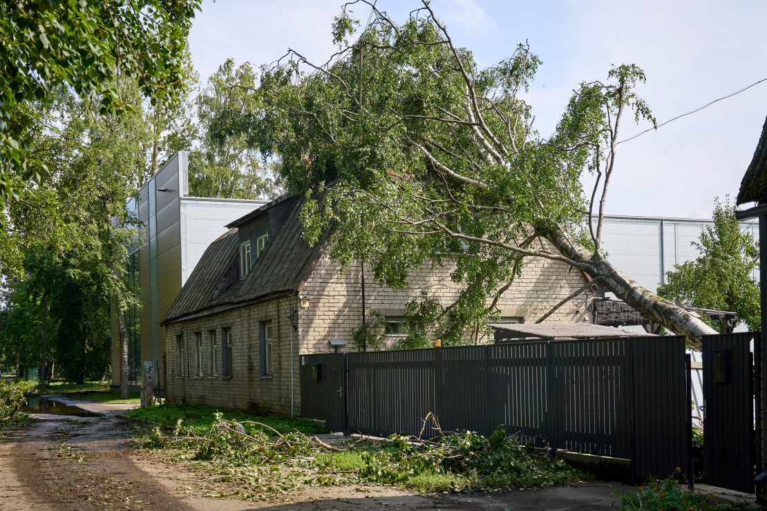 Vētra. Rīga. 2026. gada 22. augusts. 