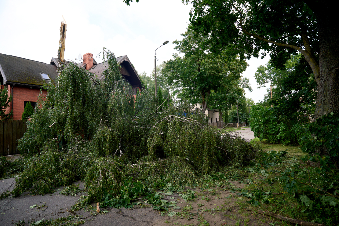 Vētra. Rīga. 2026. gada 22. augusts. 