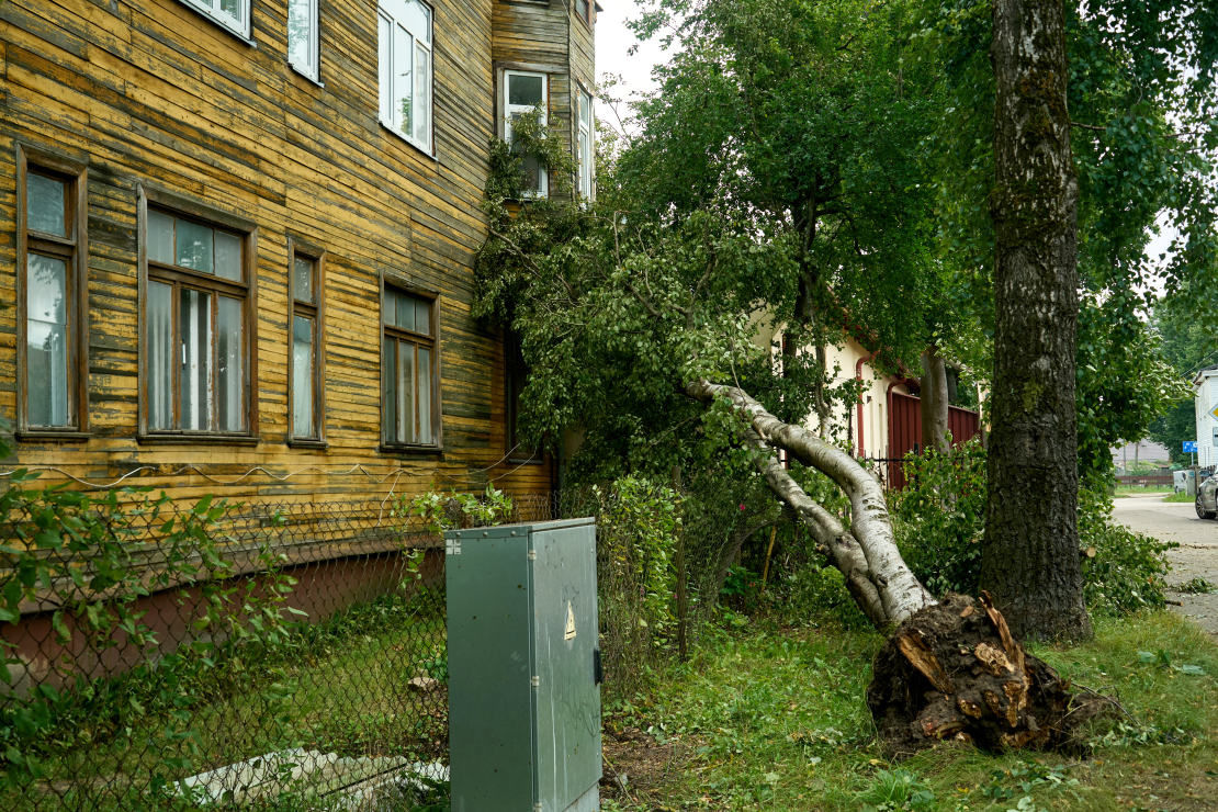 Vētra. Rīga. 2026. gada 22. augusts. 