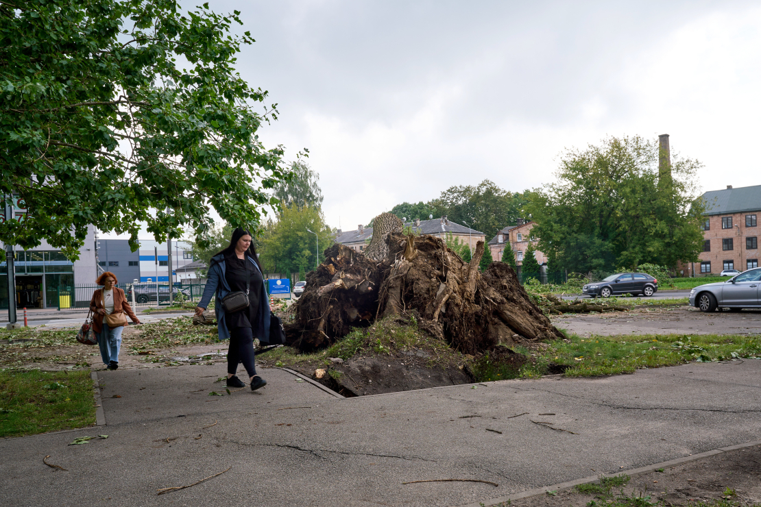 Vētra. Rīga. 2026. gada 22. augusts. 