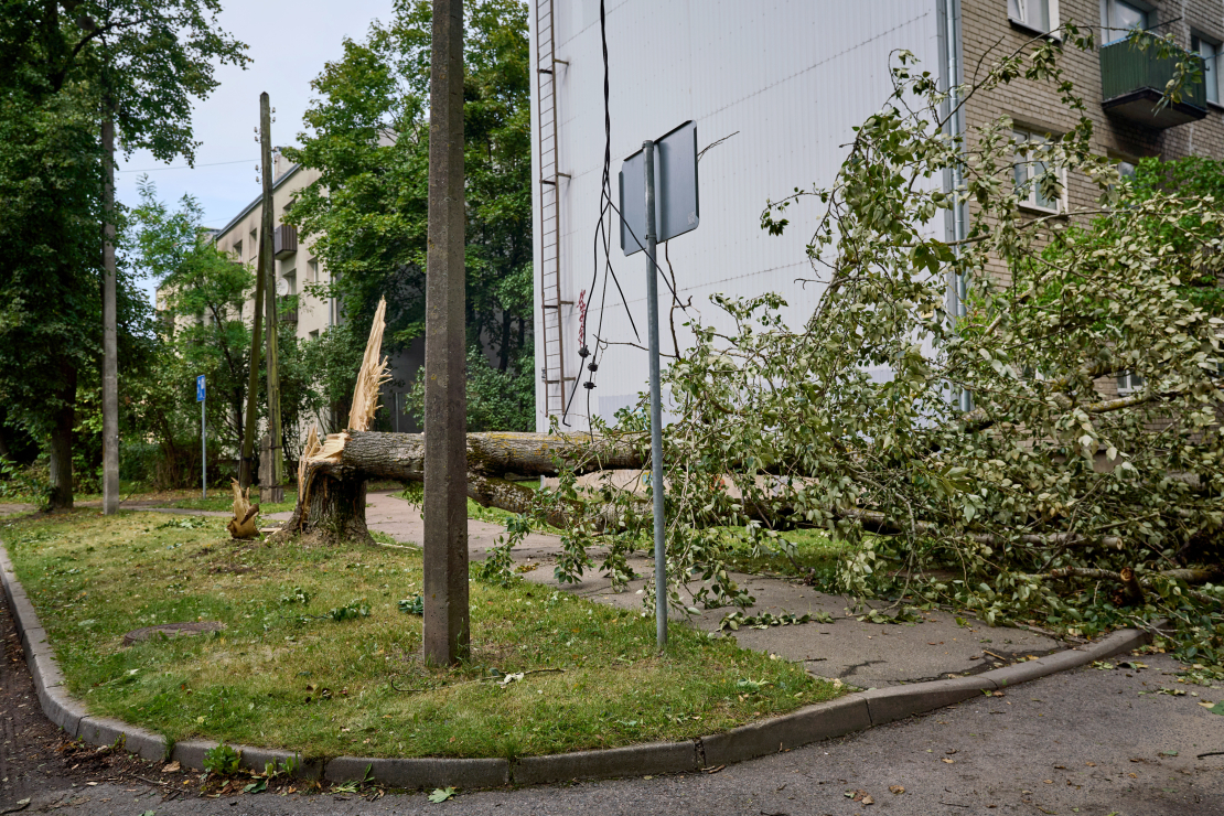 Vētra. Rīga. 2026. gada 22. augusts. 