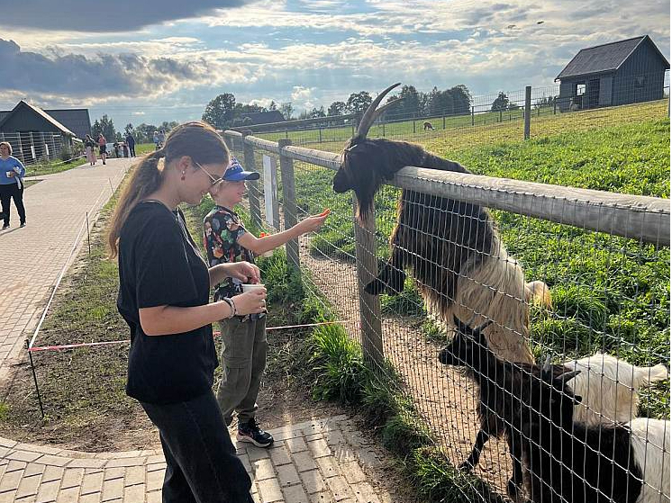 "Siguldas zoo" ar burkāniem var pabarot Holandes pundurkazas un kazlēnus.