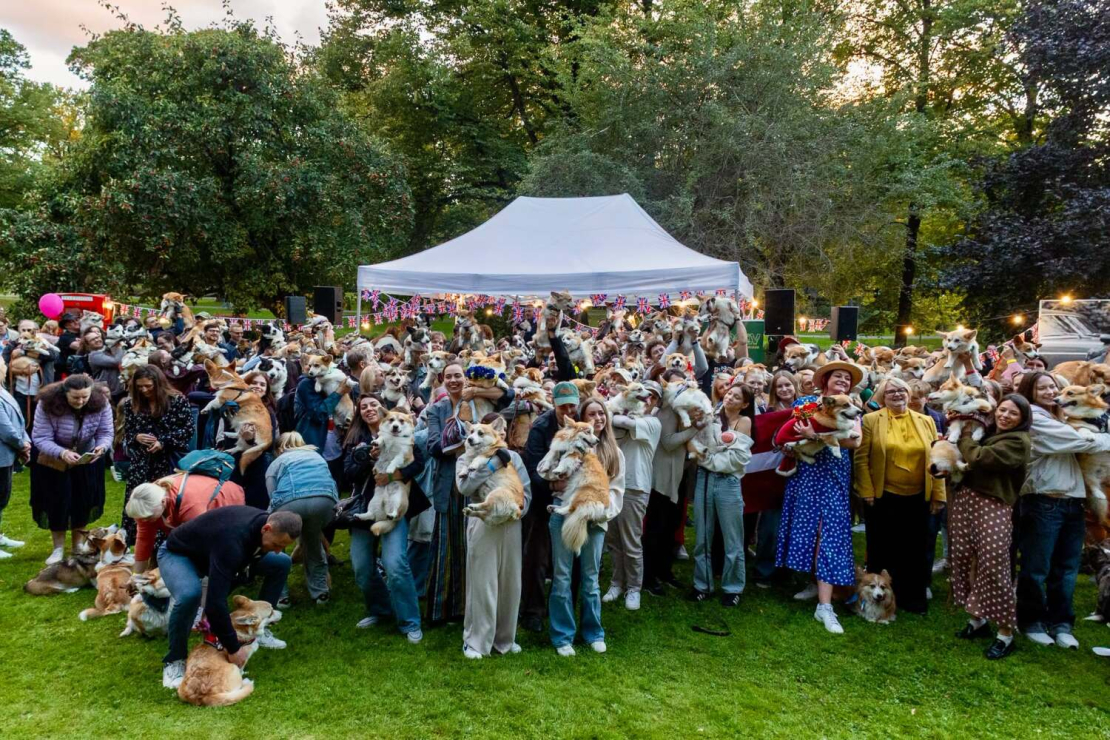 Ceturtā "Karaliskā korgiju pastaiga" Rīgā.